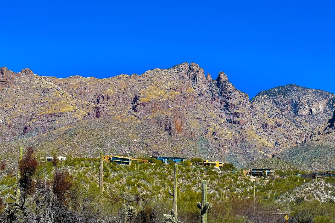 Lizard Rock Villa Tucson Dış mekan fotoğraf